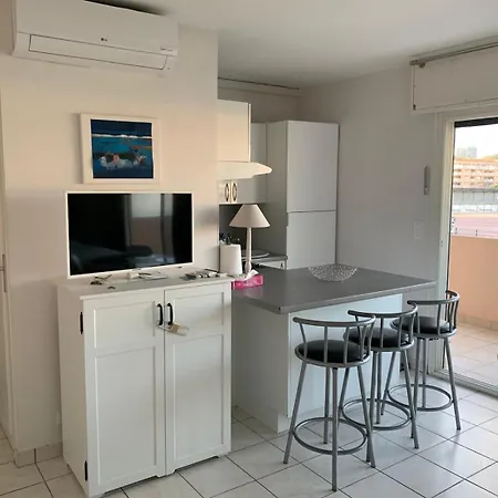 Terrasse Palm Apartment Cannes